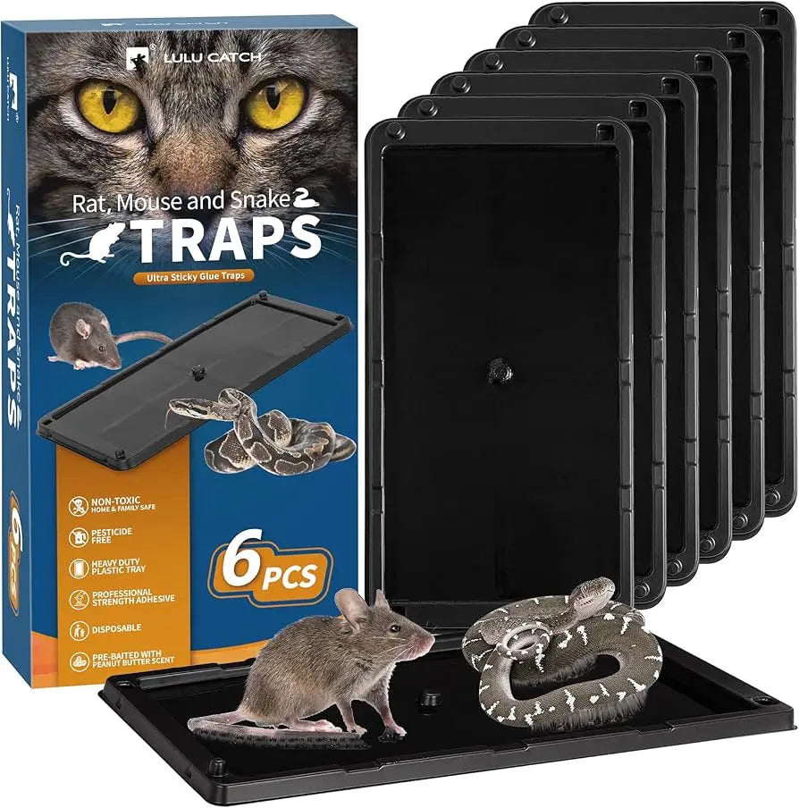 MOUSE TRAP GLUE LARGE 6-2 CT