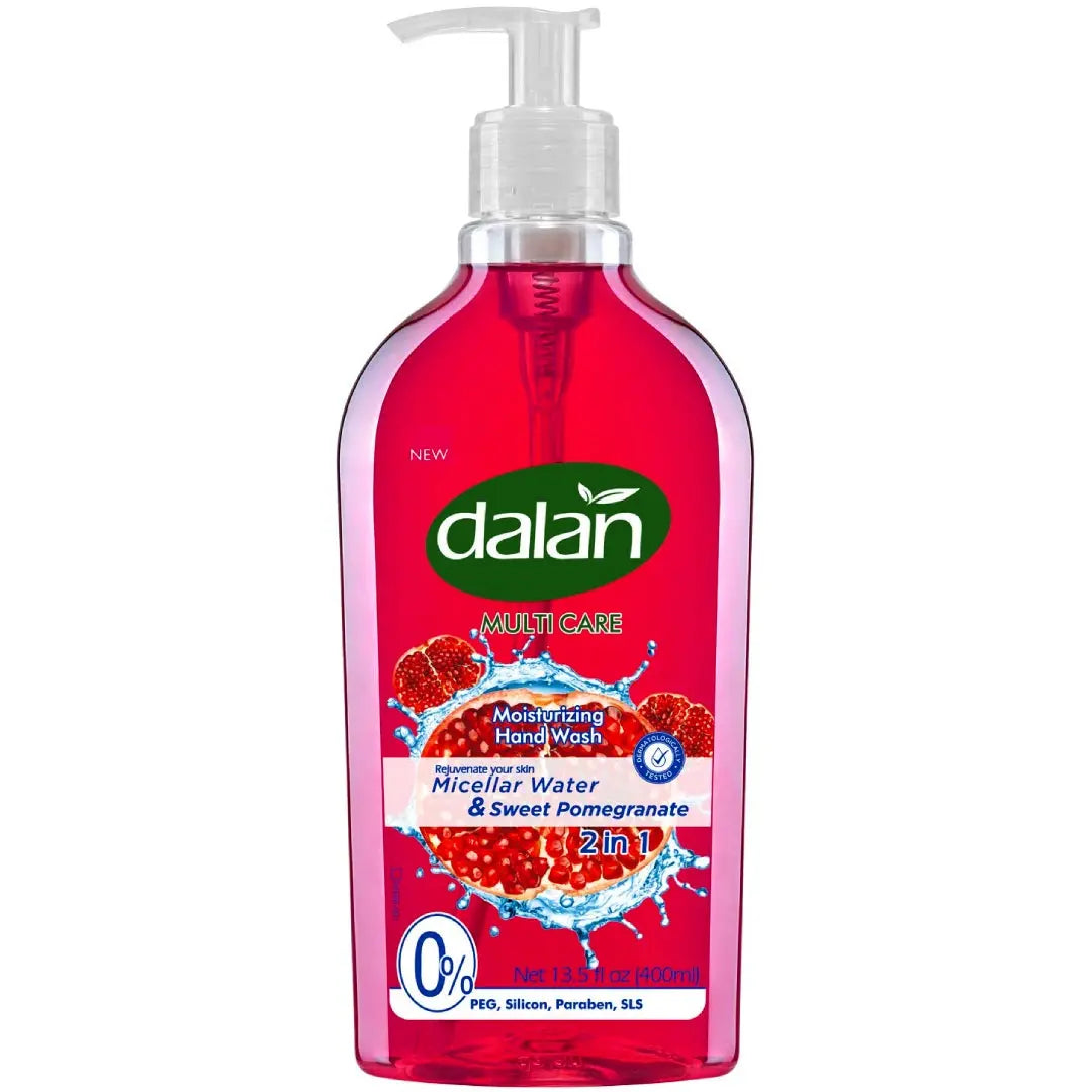 DALAN HAND WASH 6/13.5F OZ