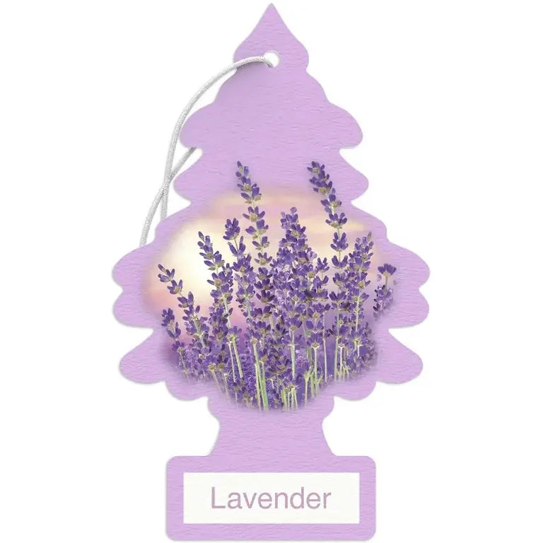 C.F. LAVENDER 24'S