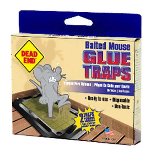 MOUSE TRAP GLUE 6-2 CT