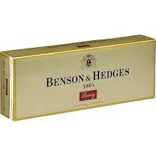 B&H LIGHT BOX 100