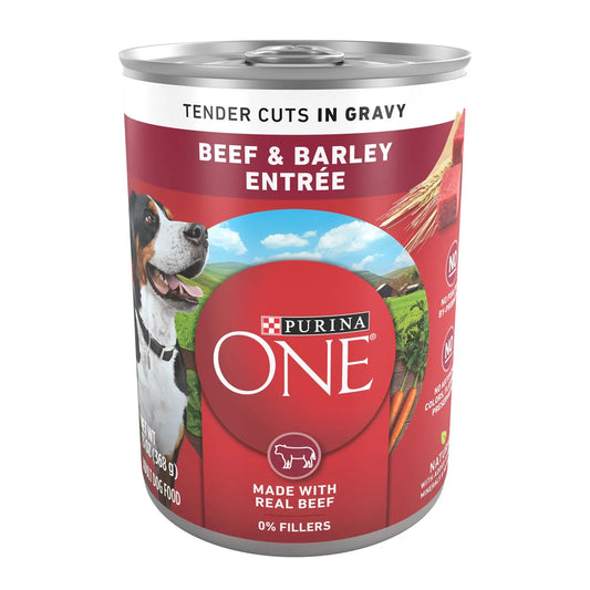 PURINA ONE DOG CHOW 13OZ