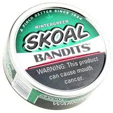 SKOAL BANDIT WINTERGREEN 5CT